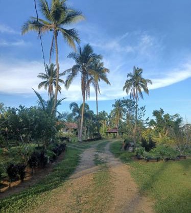 AsunEus Farm
