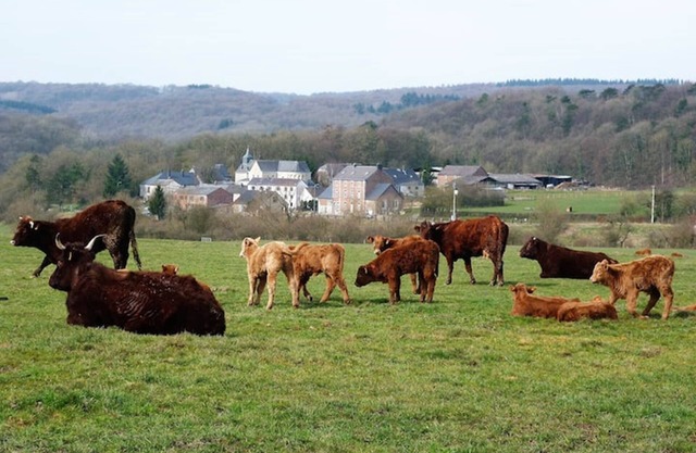 Su casa rural en las Ardenas: 19,50 € por día por persona - Mejor precio garantizado