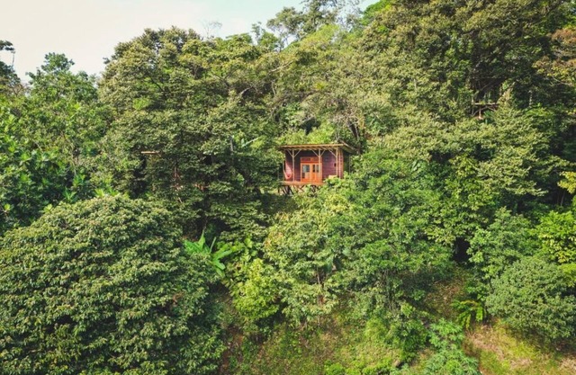 ataraxia bocas del toro