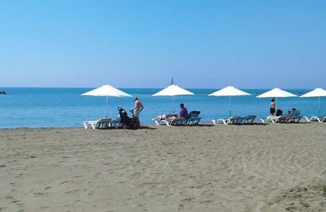 Athenaeum Beachside Studio