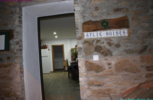 Atlie Moises