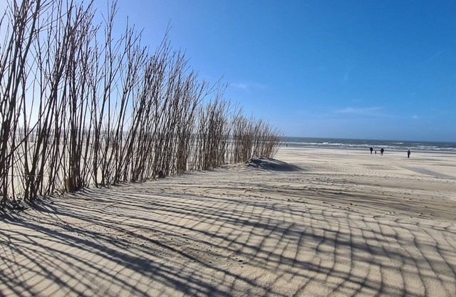 Attractive 4pers. vak. appartement Kop van Noord-Holland
