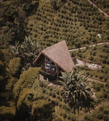 ATTRAVERSIAMO BAMBOO HOUSE