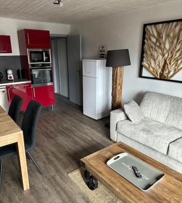 Au Myosotis, cosy au pied des pistes avec vue et cœur de station