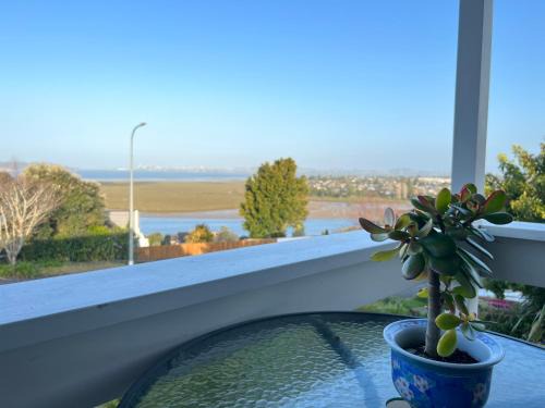 Auckland Sea&SkyTower view HOMESTAY with free Netflix, Parking