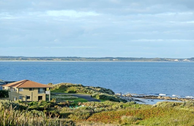 Augusta Beachfront Accommodation - watch the whales go past or over the road for a swim - Augusta Beachfront Accommodation