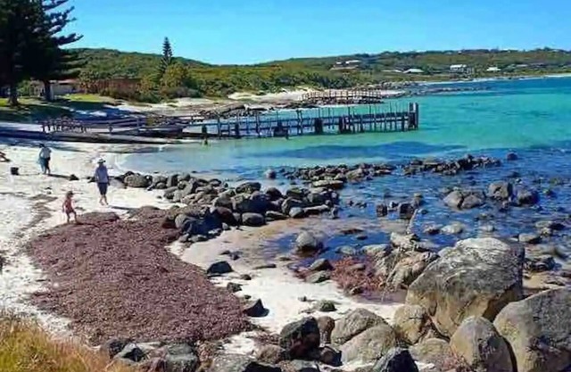 Augusta Molloy sleeps 5 - Entire rental unit in Augusta, Australia UNIT 4
