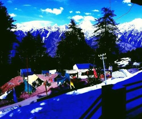 Auli Laga Homestay