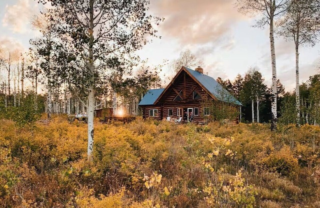 Authentic Colorado Log Cabin Retreat- 3bed | 2bath