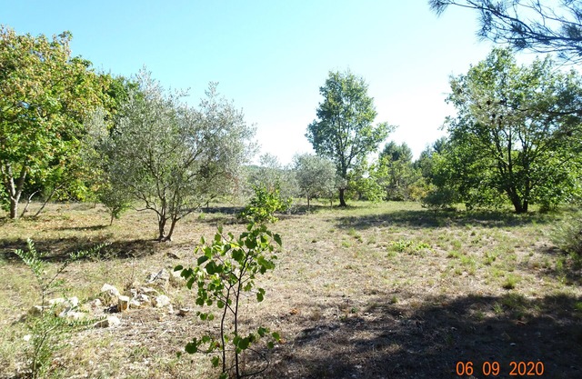 Authentic detached Provencal mazet with swimming pool