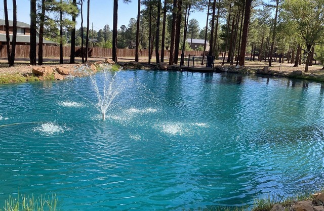 Authentic log cabin in private gated community