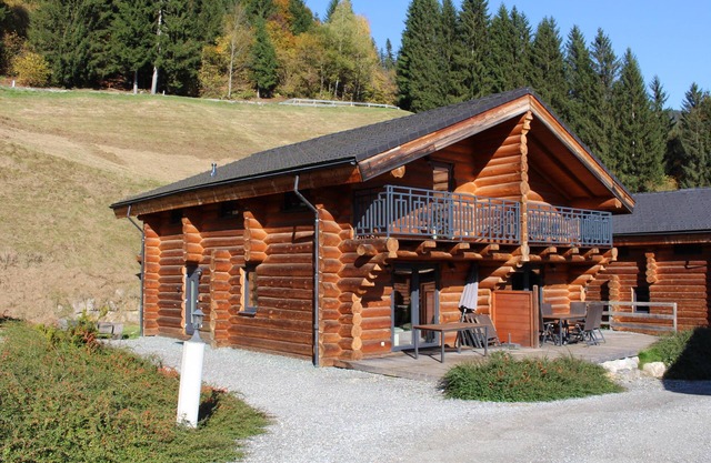 Authentic log house near top ski resort