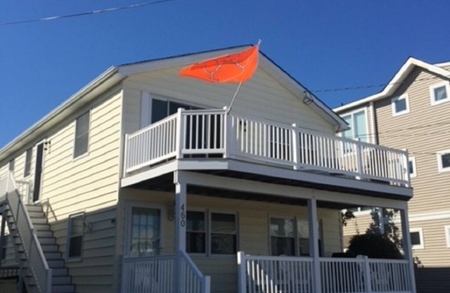AVALON 3br in amazing location; walk to beach and town; pet friendly