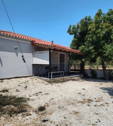 Avocado house