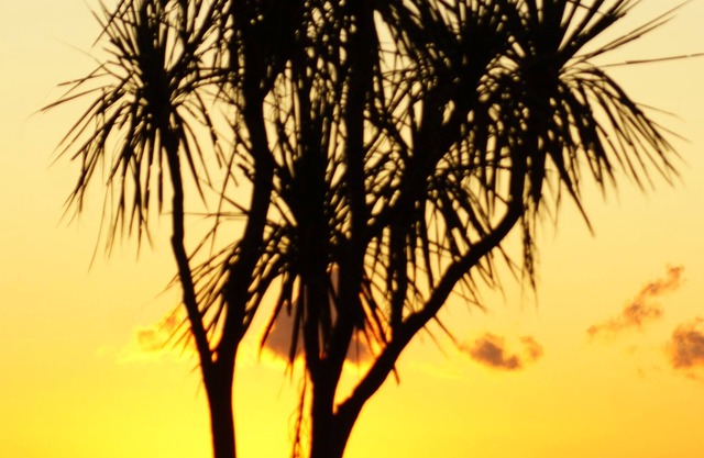 Awatuna Sunset Lodge