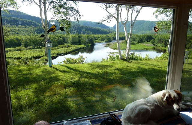 Impresionante y asequible River Cottage
