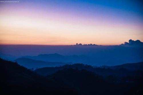 Ayona Misty Hills