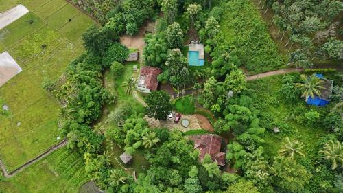 Ayurnest Pool Resort Wayanad