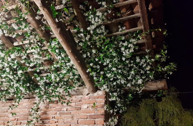 Az.Agr.Cascina Moretta