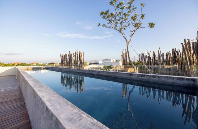 Azalea by Zamá Homes