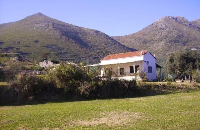 AZIENDA AGRICOLA 25 PONTI