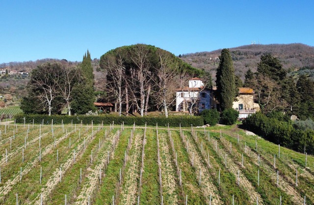 Azienda agricola Frascole