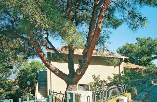 Azzurro 2