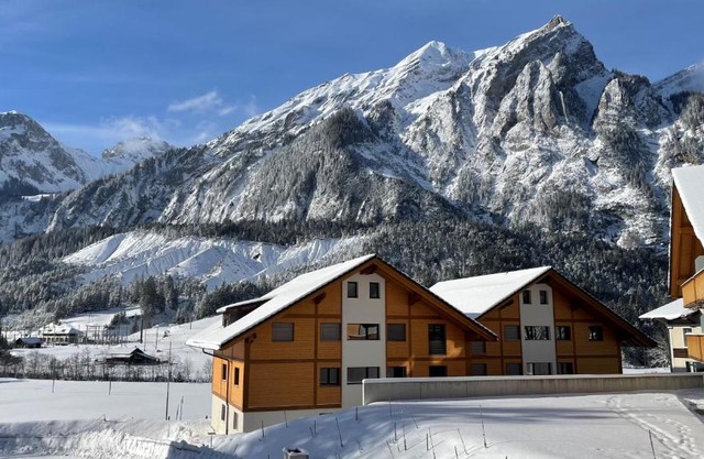 Büelbad - Relax Holiday Apartment