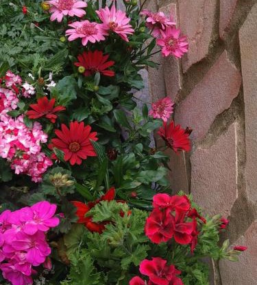 B&b Aloysia