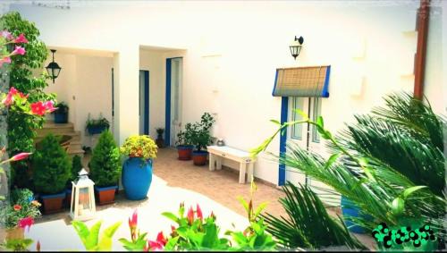 B&B Antiche Stelle Salento