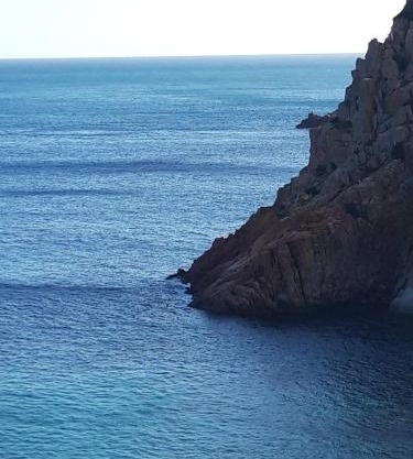 B&B Blueberry via Capri Porto Frailis