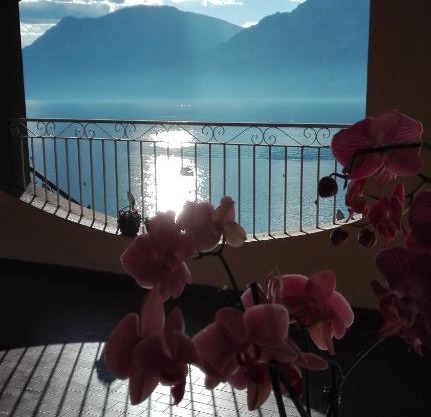 B&B Casa Sartori