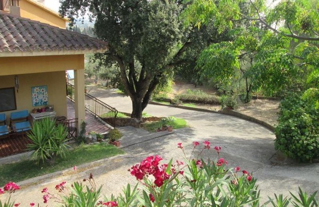 B&B Coldulivo