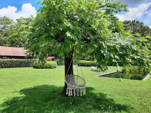 B&B De Levensboom