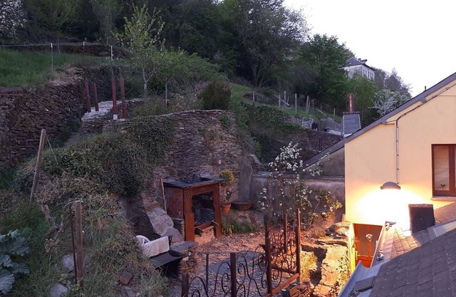 B&B Golden Lion