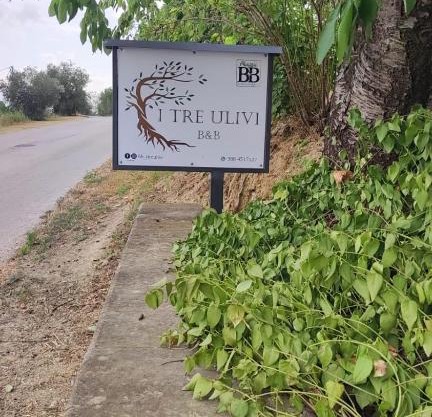 B&B I Tre Ulivi