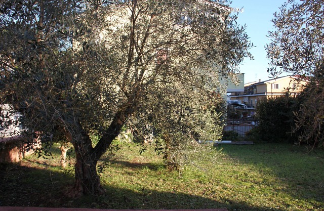 B&B Il Melograno