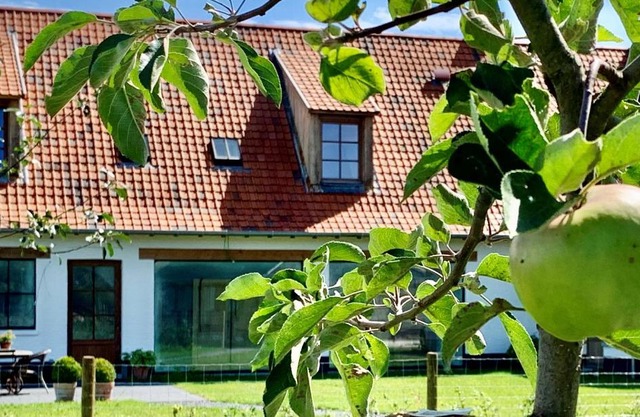 b&b Meilrijk
