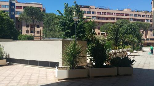 B&B Nonna Roma