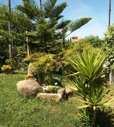 B&B Parco del Lago