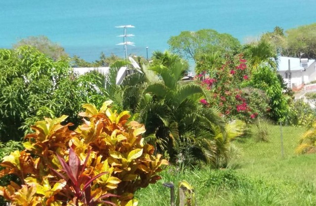 B&B Plage Des Raisiniers