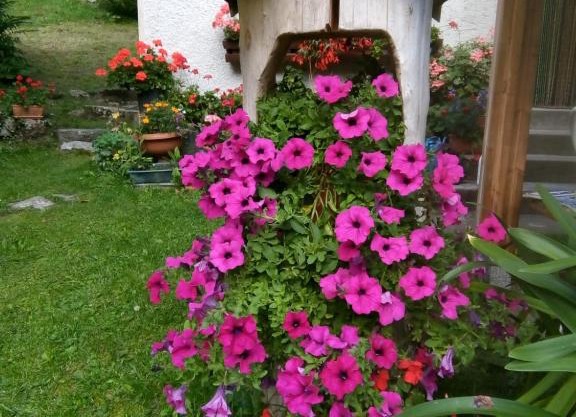 B&B PRA' DEI CERVI