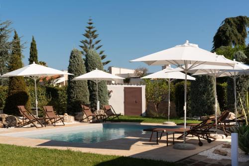 B&B Radici d'Olivo