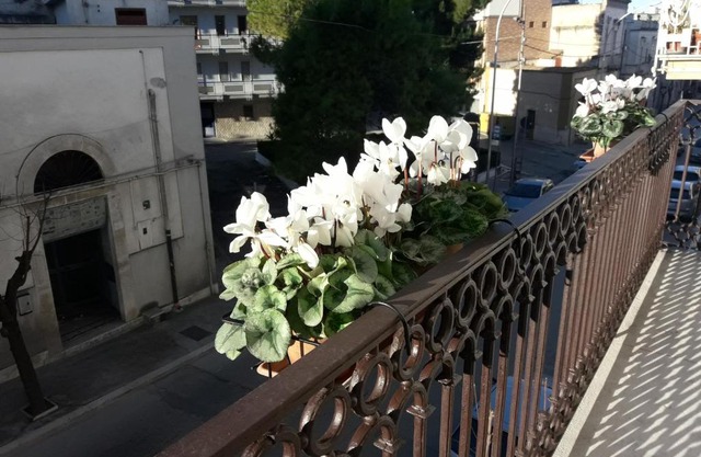 B&B Saffi