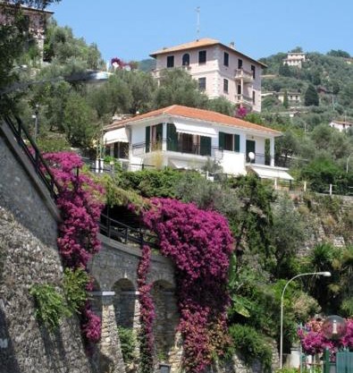 B&B The Dream