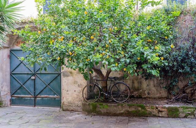 B&B Via Corsica 10