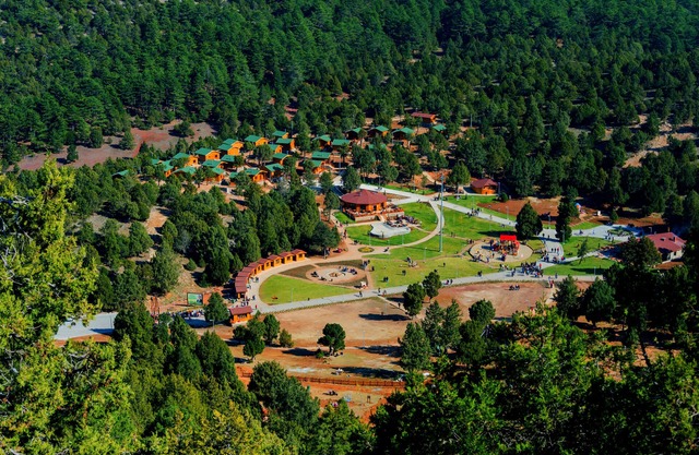 Bağbaşı Yaylası Bungalov Evleri