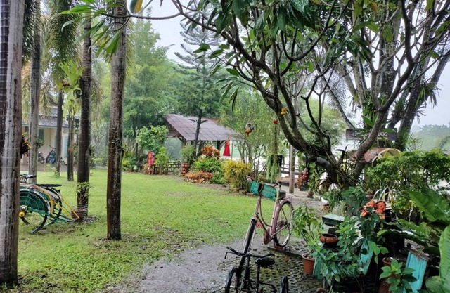 Baanmai Kon Muang