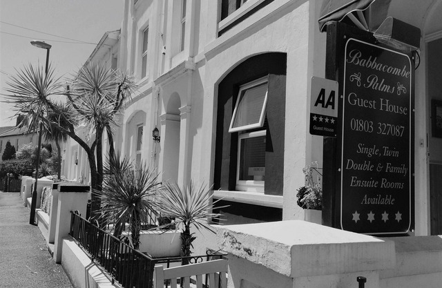 Babbacombe Palms