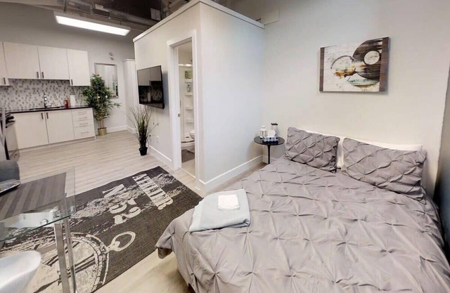 Bachelor apartment in downtown!